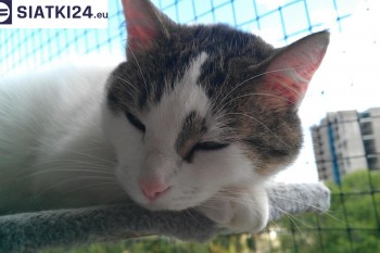 Siatki Wieliczka - Siatka na balkony dla kota i zabezpieczenie dzieci dla terenów Wieliczki