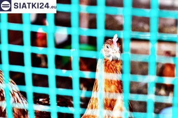 Siatki Wieliczka - Siatka na woliery - zabezpieczenia ptaków w hodowli dla terenów Wieliczki